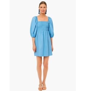 Tuckernuck Dress - Beaufort Blue Annie Smocked Mini Dress Puff Sleeve